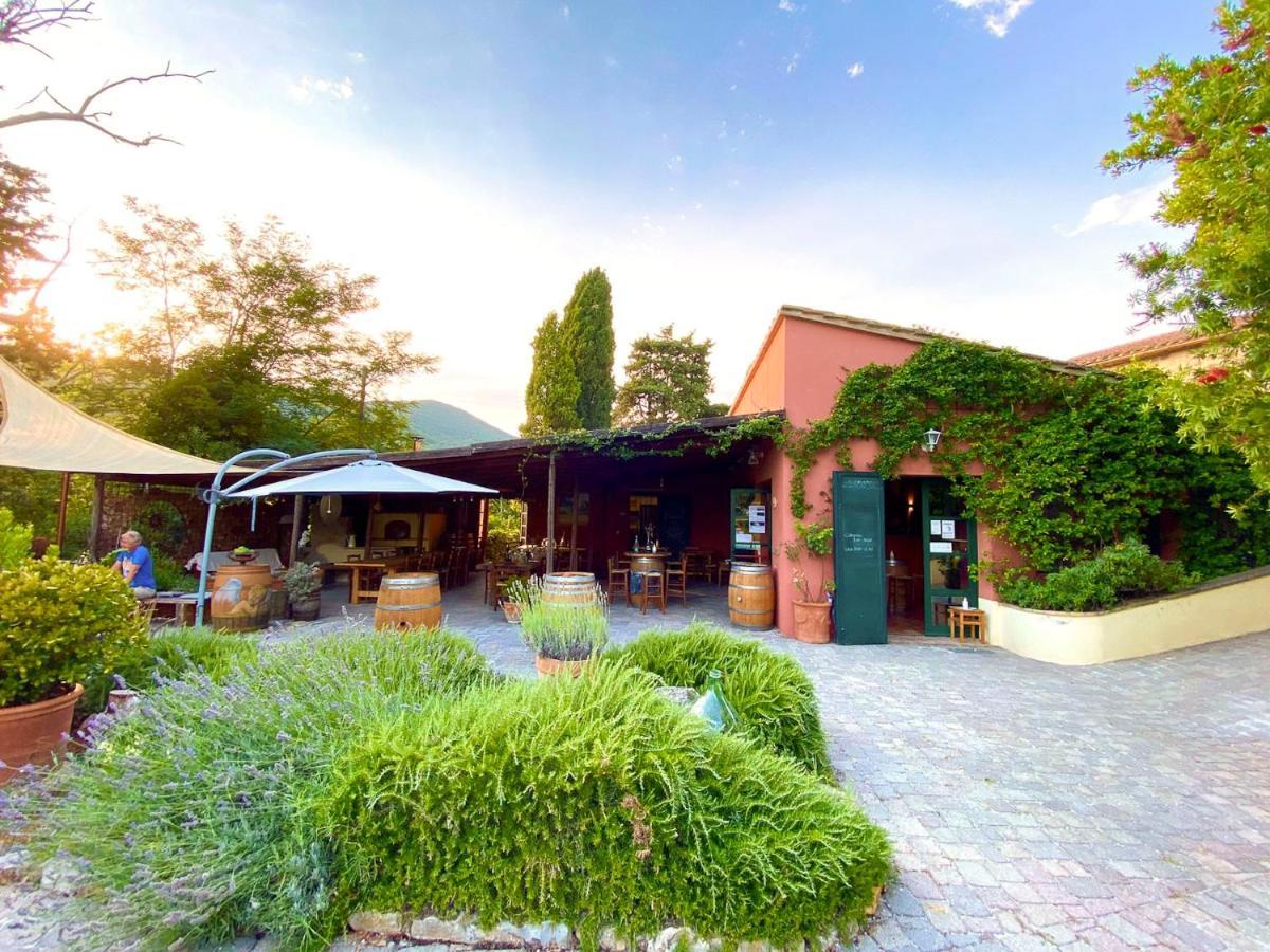 Agriturismo Terenzana Aparthotel Riparbella Exterior foto