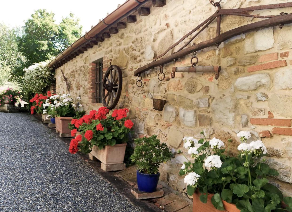 Agriturismo Terenzana Aparthotel Riparbella Exterior foto