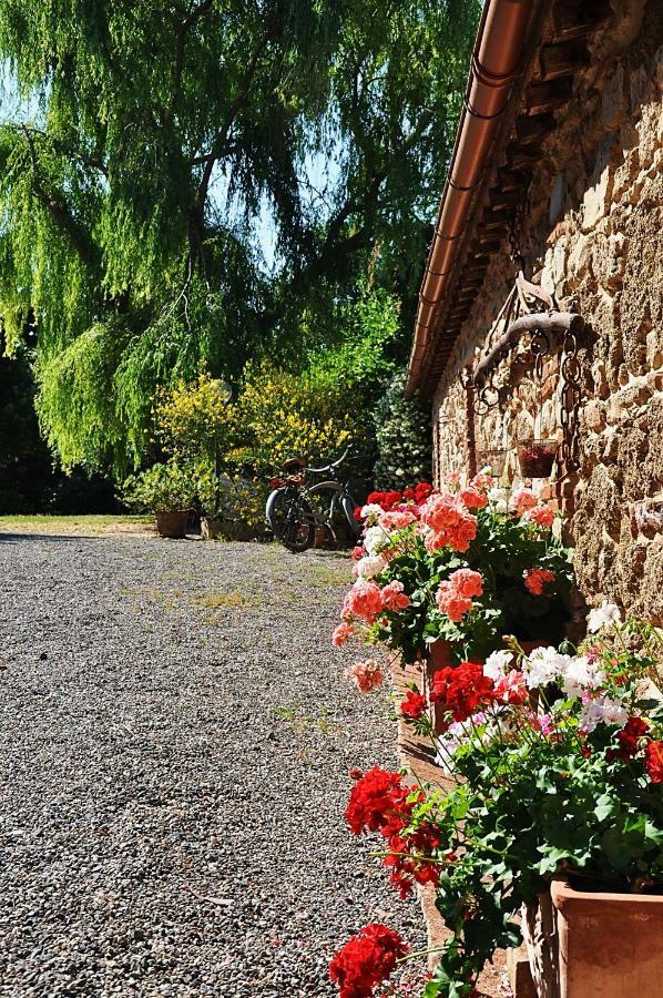Agriturismo Terenzana Aparthotel Riparbella Exterior foto